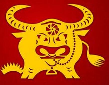 属牛和属牛好不好