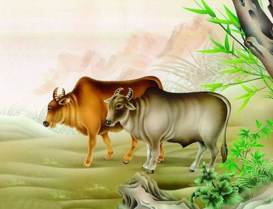 牛年出生的性格和优缺点