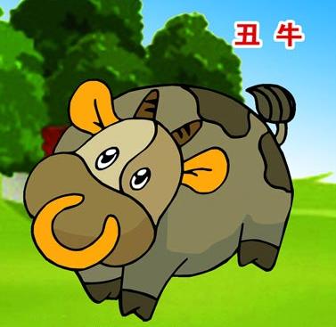 属牛和属龙好不好