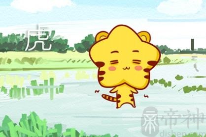 生肖子息：2021年属虎的人生属牛宝宝行不行