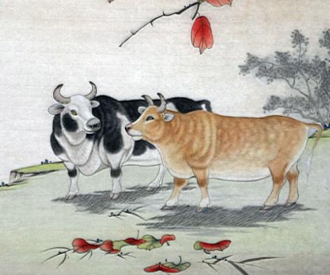 生肖牛男生优点和缺点