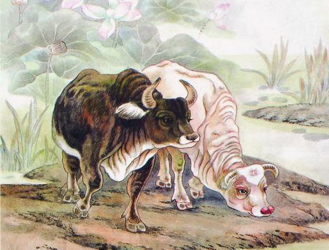 1973年出生的属牛人命运