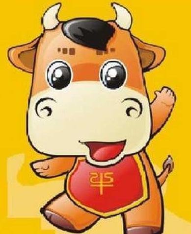 属牛和属虎好不好