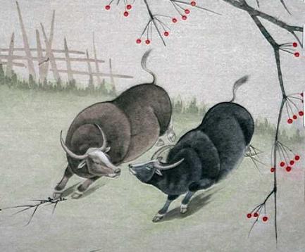 2009年出生的属牛人命运
