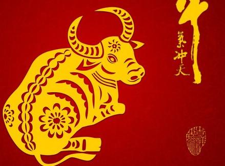属牛和属兔好不好