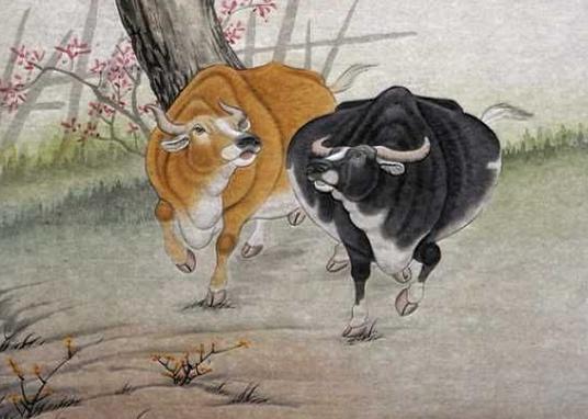 1949年出生的属牛人命运