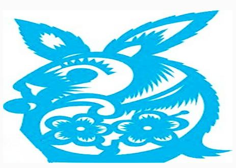 生肖兔配对生肖兔好不好