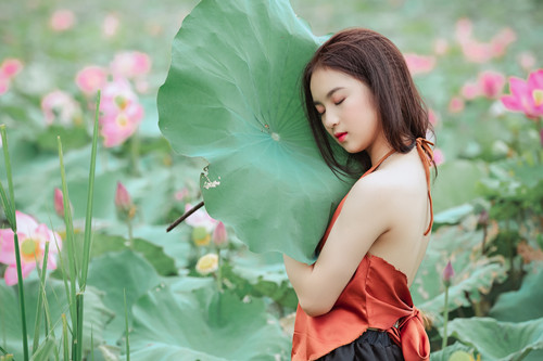 羲邑师姐生肖羊一周运势（8.27-9.2）