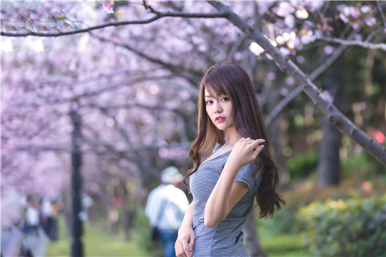 属羊的安全感来源于哪里