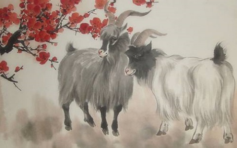 属羊的年份及年龄对照，运势大好的属羊人