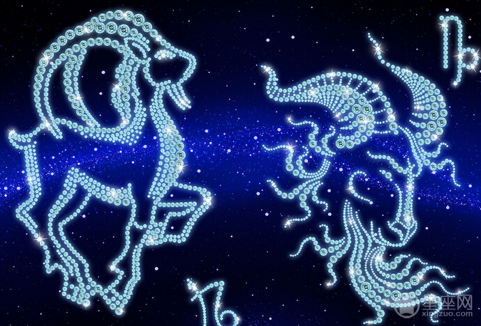星座属相查询：摩羯座属猴的人的性格!