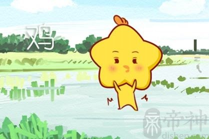 2021年生肖鸡的全年运势如何 各方面运气怎么样