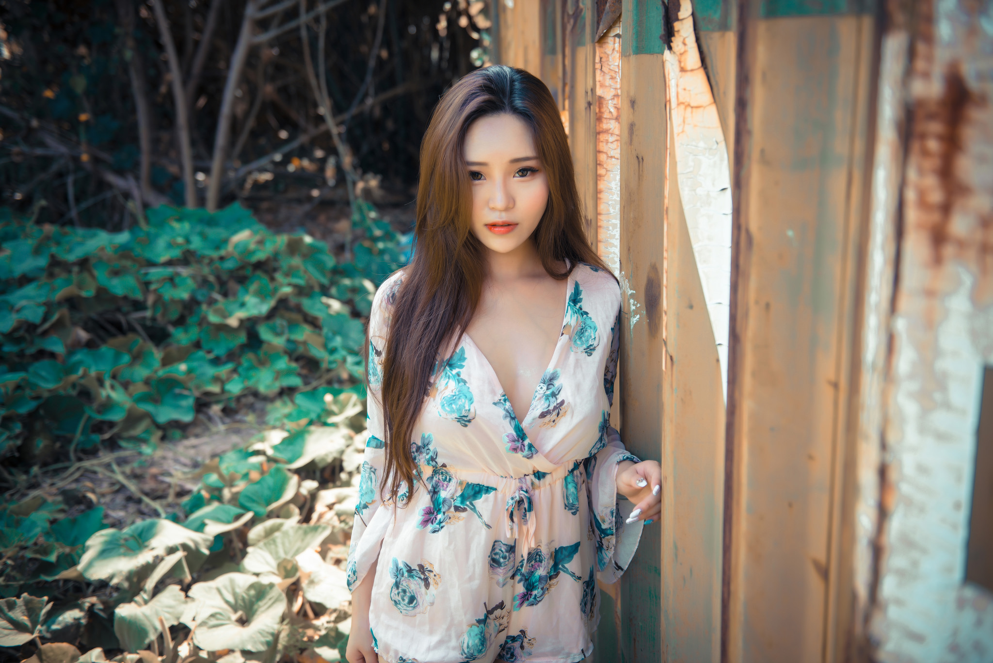 属鸡和什么属相相合