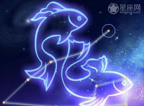 星座属相查询：双鱼座属鸡的人的性格!