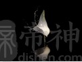91年属羊和92年属猴的在一起幸福吗