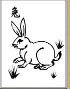 属兔的人2013年1月运势