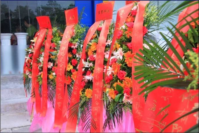 2020年农历一月适合开业的日子精选，正月是怎么来的？