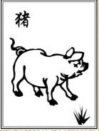 属猪的人2013年1月运势