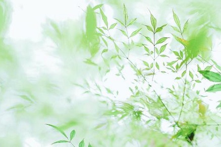 2020年闰四月的黄道吉日一览表！黄道吉日是什么意思？