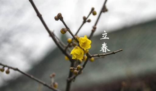 双春年怎么计算？双春年有什么说法？