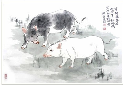 属猪的人2013年3月运势