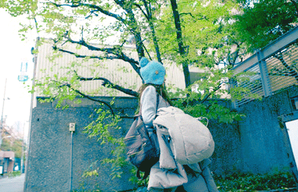 郑博士2015年12月生肖运势