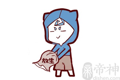 阳台风水布局有什么讲究，适合摆放风水植物？