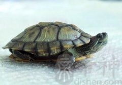 招财风水的知识