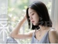 智商情商皆高，一生容易成功的生肖