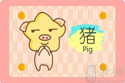 2021年生肖猪整体运势怎么样 男女生肖运程详解