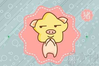 1995年出生的生肖猪男2021年上半年运气好不好 有破财风险
