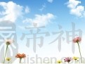 性格既开阔又细腻的生肖大全