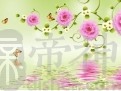 勇于脚踏两条船的生肖大全
