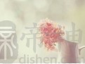 总是羡慕别人的生肖有哪些