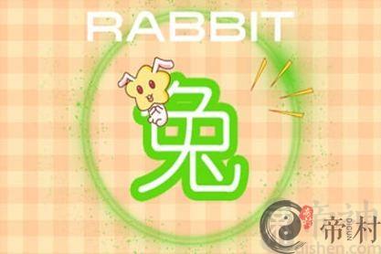 兔爸爸猪妈妈生什么生肖宝宝好