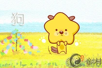 属狗怎么实现事业逆袭