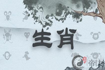 属猴都有哪些禁忌的事情