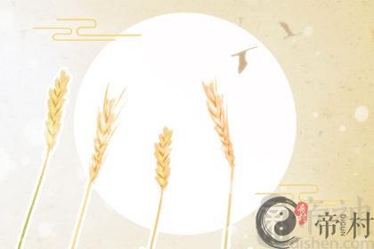沉迷网文无法自拔，属猴网文嗨点在哪里
