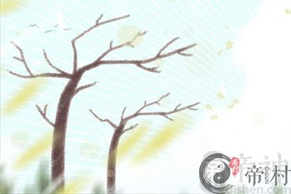 属猴发红包的吉祥数字是什么