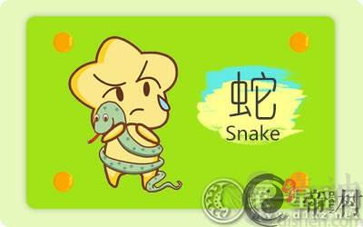 属蛇最讨厌一年中的哪个节日