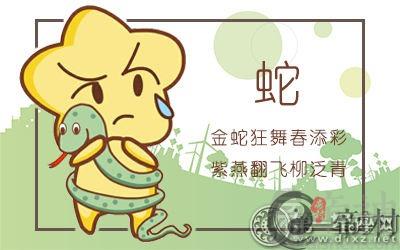 属蛇会在人生哪个阶段有所突破