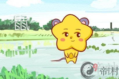 鼠今年的运势如何2021 好不好