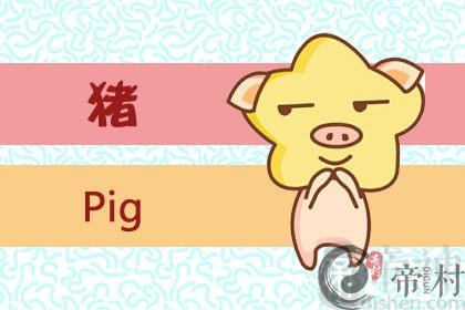最没心机 最傻的生肖女