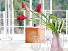 办公室花瓶适合摆放在哪个方位？办公室花瓶摆放风水讲究？