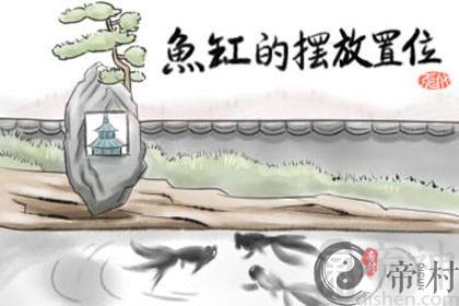客厅鱼缸怎么摆放旺财 鱼有什么讲究