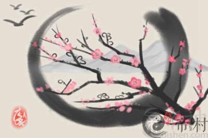 家中出现蜂窝风水 位置分析