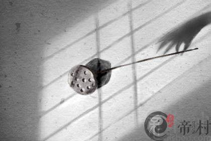 壁虎爬到我们房间来了怎么办 壁虎进房间是好兆头吗