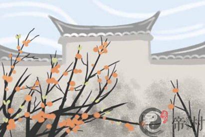 井泉水命最佳配偶 是什么命