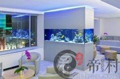 办公室鱼缸应该怎么摆放风水好？鱼应该养几条？