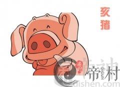 初六日生属猪人命运好吗？